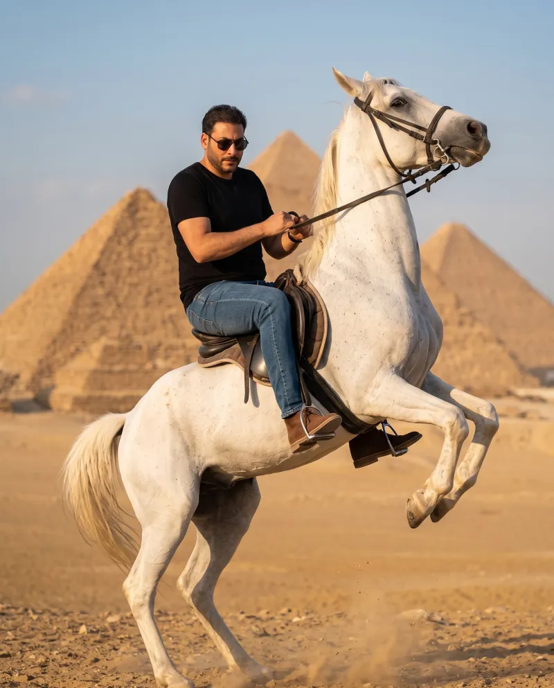 Hesham Kholef 2026 Profile 012